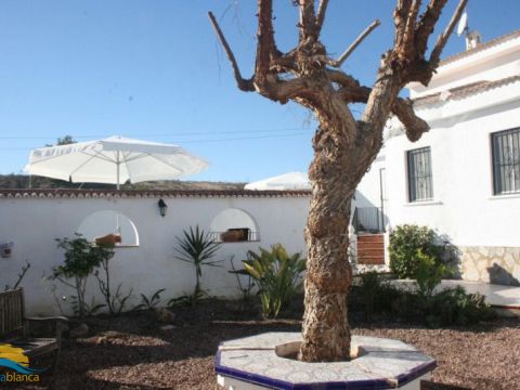 Villa Te huur korte termijn in Ciudad Quesada